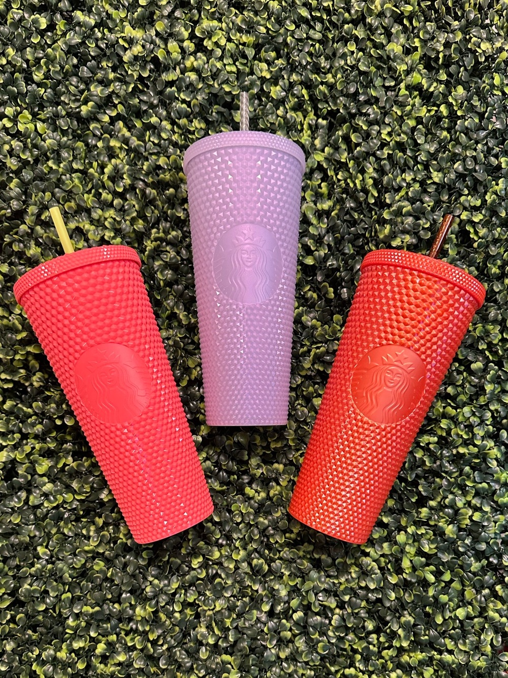 Venti Studded Starbucks Tumbler Bundle